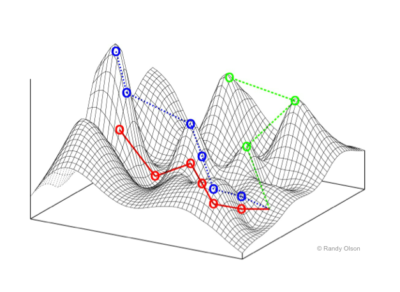 Visualization of two dimensions of an NK fitness landscape